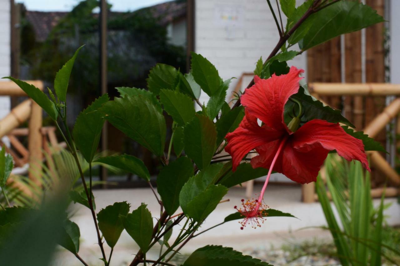 Hotel Casita Madame Puerto López Zewnętrze zdjęcie